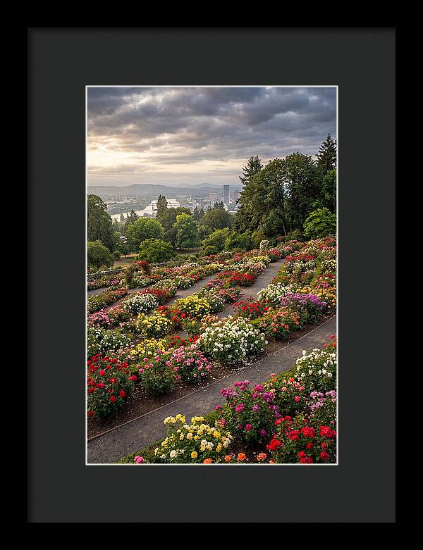 Portlands Blooming Tranquility
