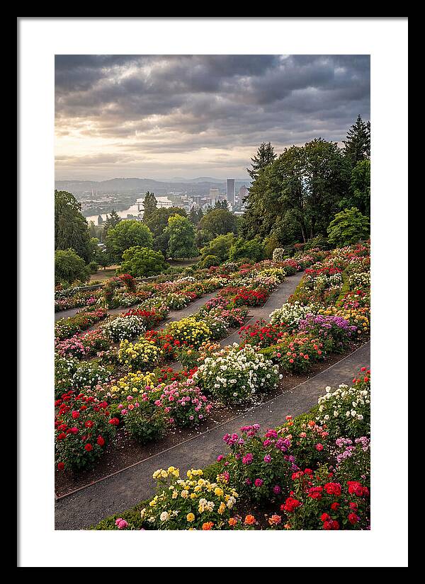 Portlands Blooming Tranquility