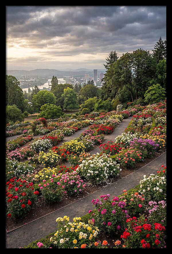 Portlands Blooming Tranquility