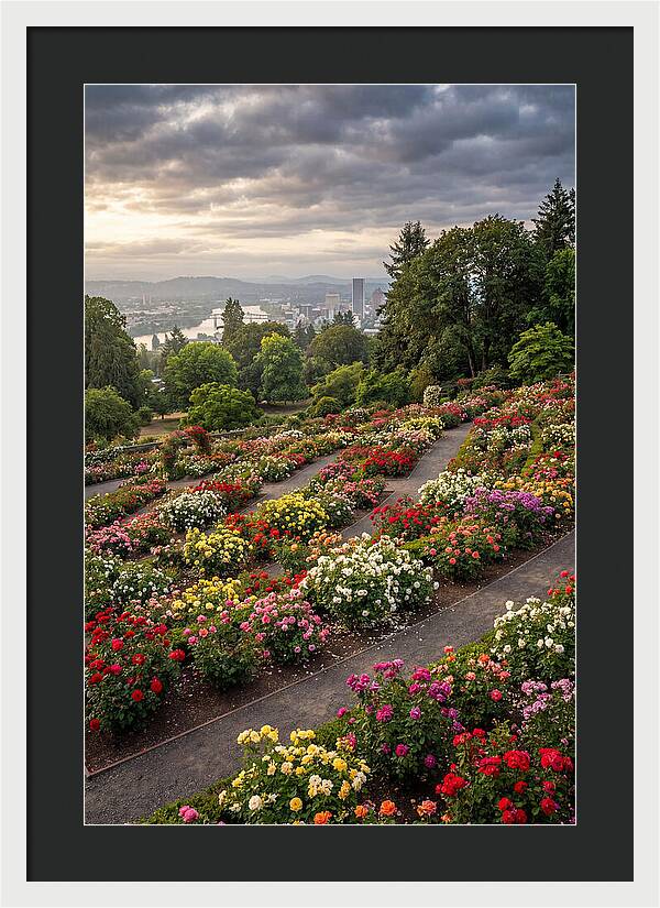 Portlands Blooming Tranquility