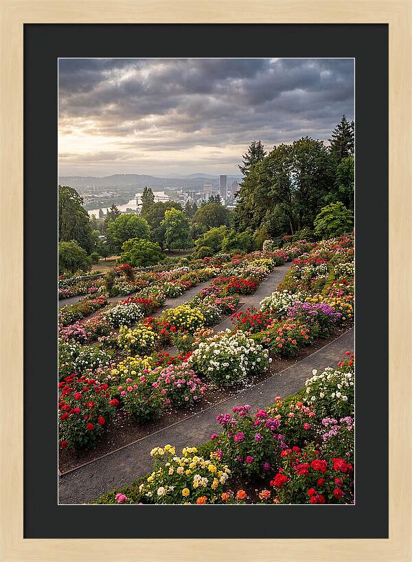 Portlands Blooming Tranquility
