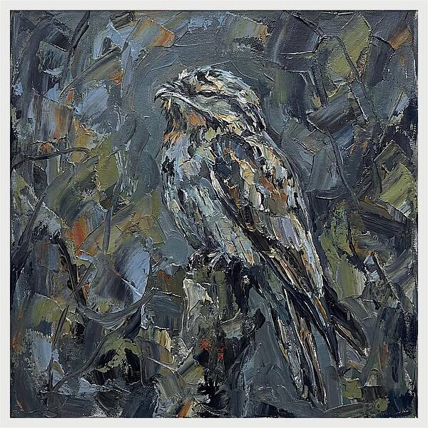 Potoo Perched In Nature