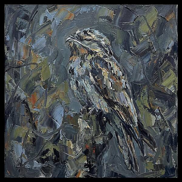 Potoo Perched In Nature