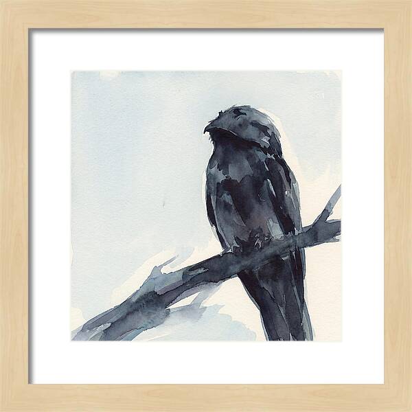 Potoo Perched In Serenity