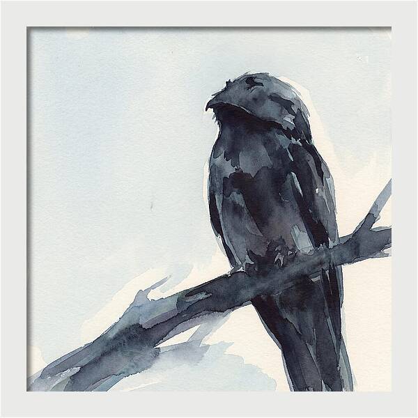Potoo Perched In Serenity