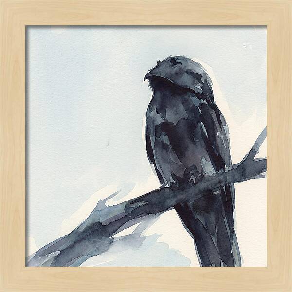Potoo Perched In Serenity