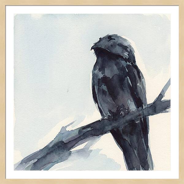 Potoo Perched In Serenity