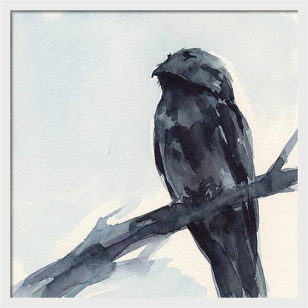 Potoo Perched In Serenity