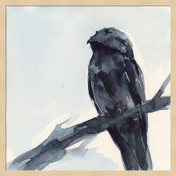 Potoo Perched In Serenity