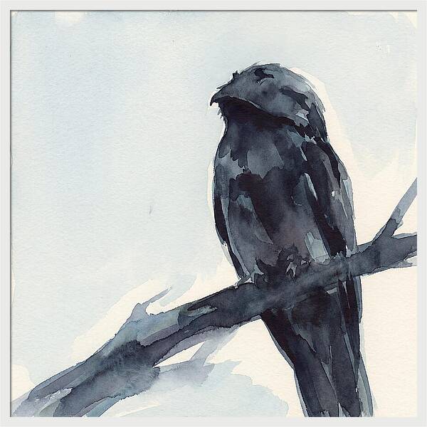 Potoo Perched In Serenity
