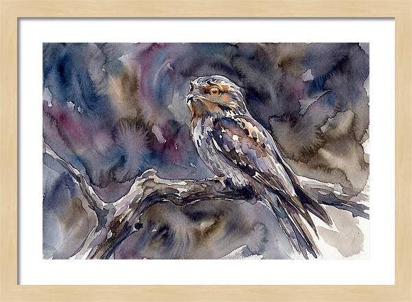 Potoo Perched In Watercolor