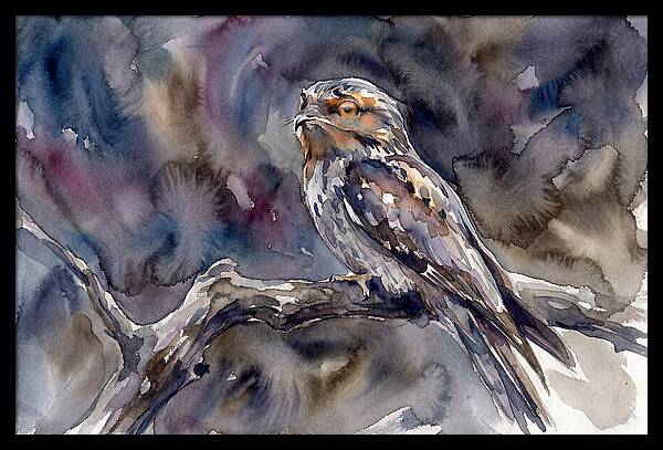 Potoo Perched In Watercolor