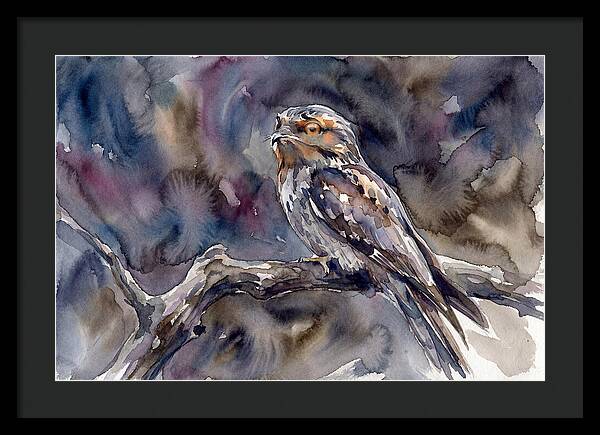 Potoo Perched In Watercolor