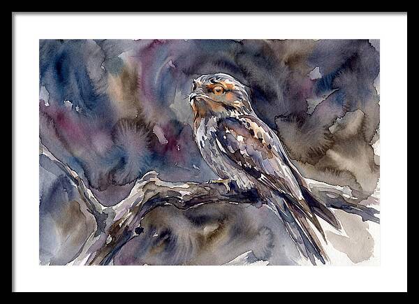 Potoo Perched In Watercolor