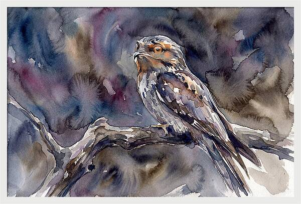 Potoo Perched In Watercolor