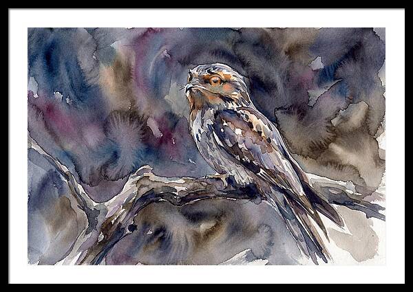 Potoo Perched In Watercolor