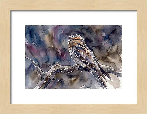 Potoo Perched In Watercolor