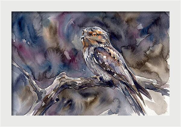 Potoo Perched In Watercolor