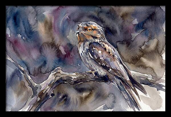 Potoo Perched In Watercolor