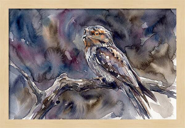 Potoo Perched In Watercolor