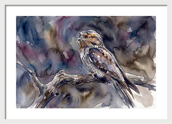 Potoo Perched In Watercolor