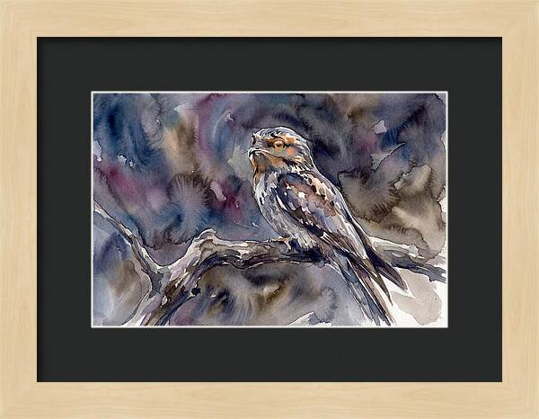 Potoo Perched In Watercolor