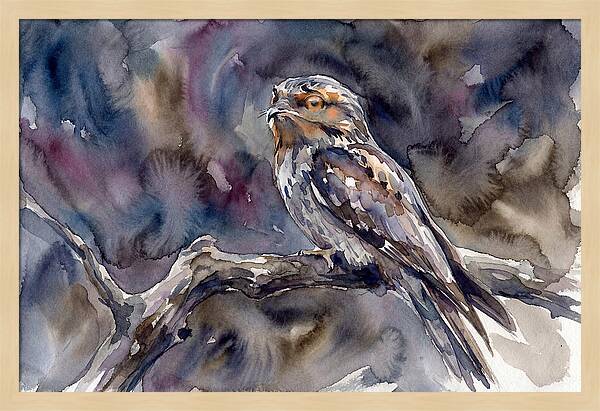Potoo Perched In Watercolor