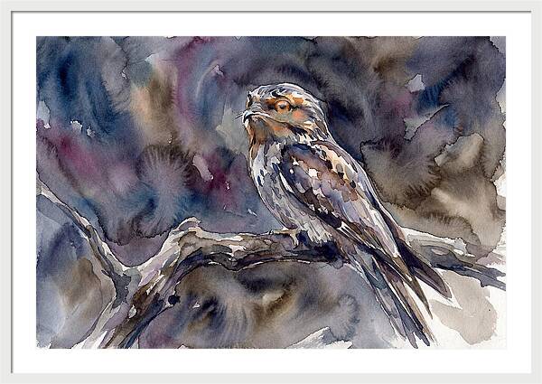 Potoo Perched In Watercolor