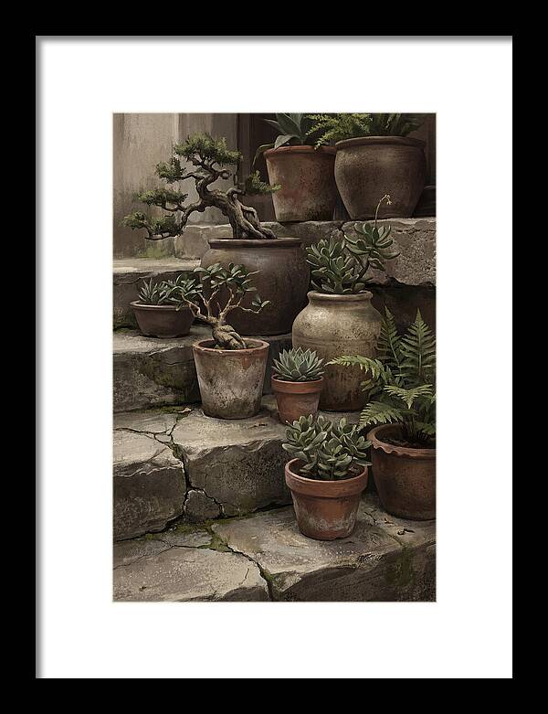 Potted Plant Serenity