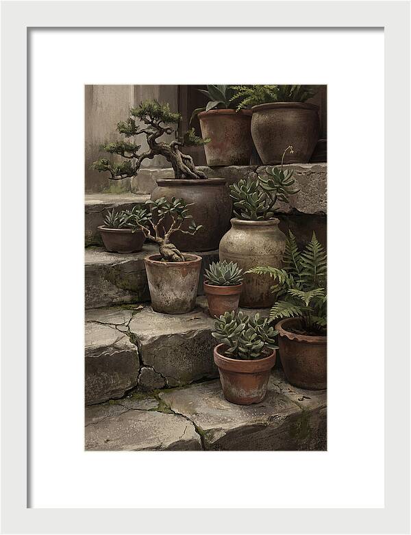 Potted Plant Serenity