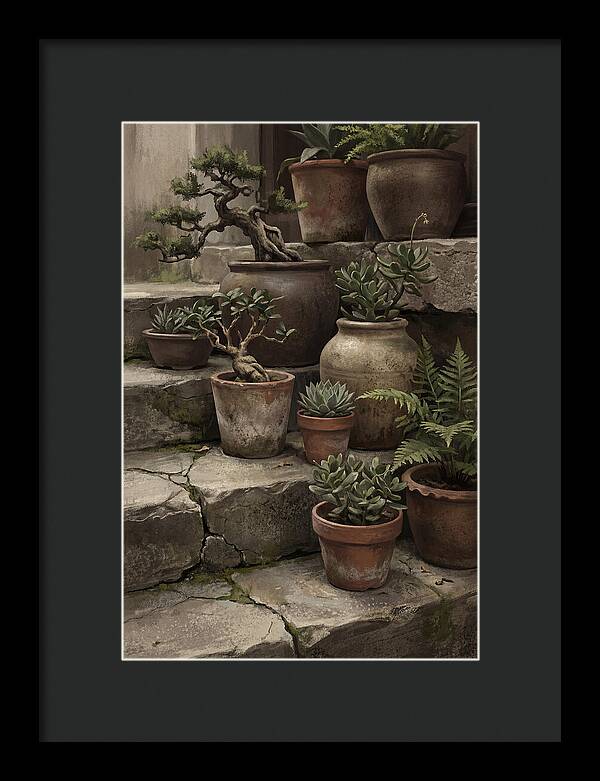 Potted Plant Serenity