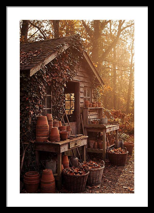 Potting Shed In Autumn Light
