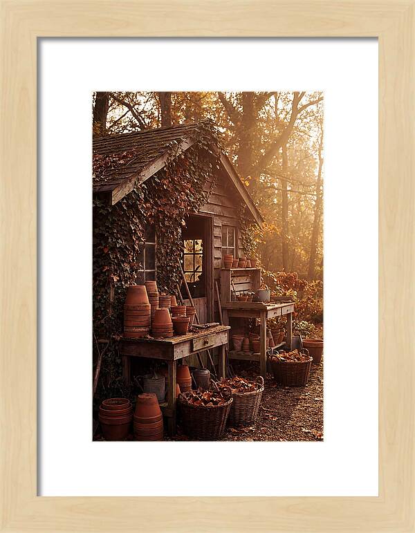 Potting Shed In Autumn Light