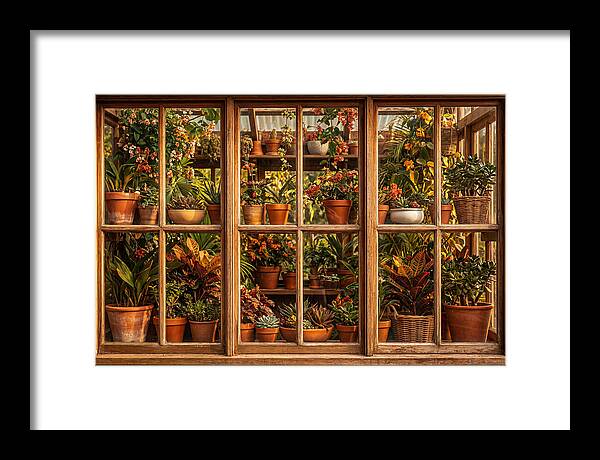 Potting Shed Window Delight