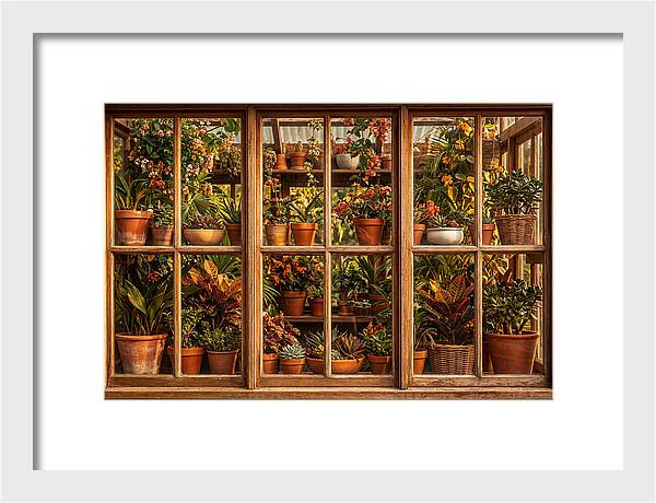 Potting Shed Window Delight