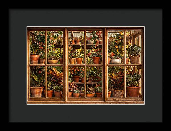 Potting Shed Window Delight