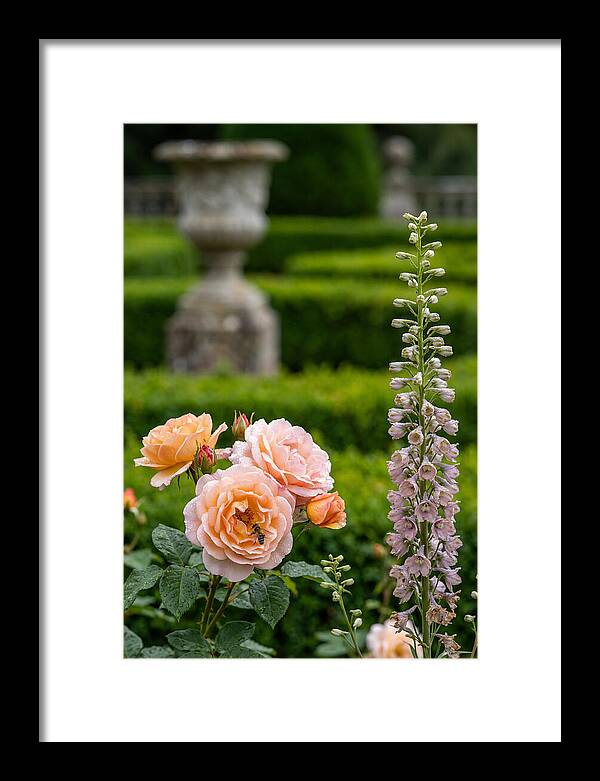 Powerscourt Garden Blooms