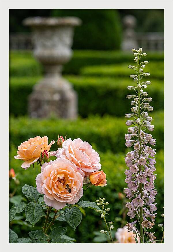 Powerscourt Garden Blooms