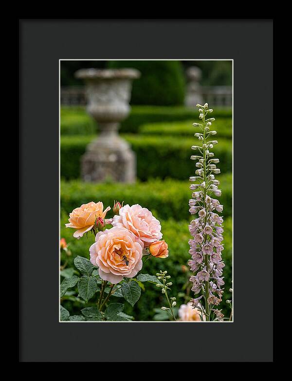 Powerscourt Garden Blooms