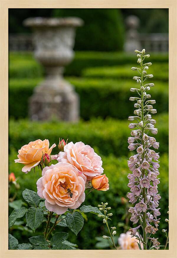 Powerscourt Garden Blooms
