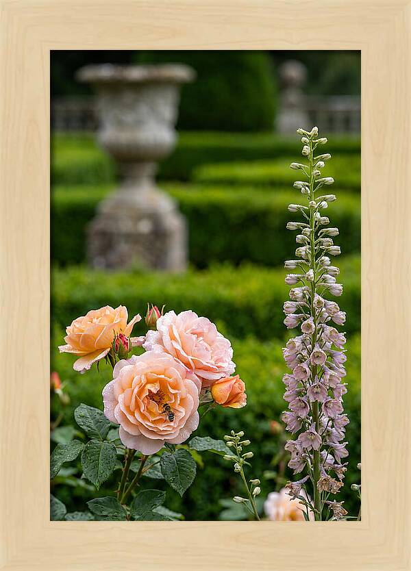 Powerscourt Garden Blooms