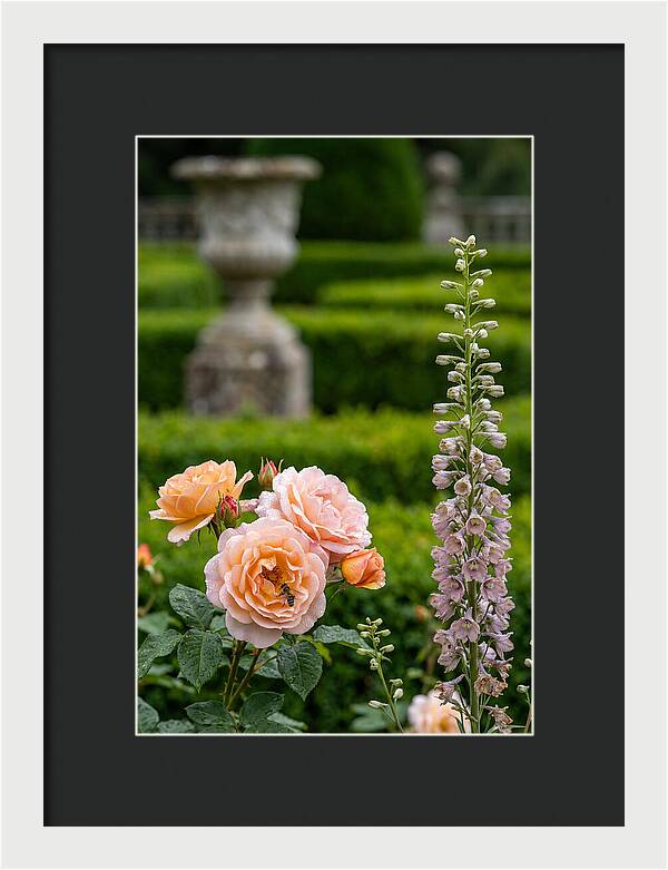 Powerscourt Garden Blooms