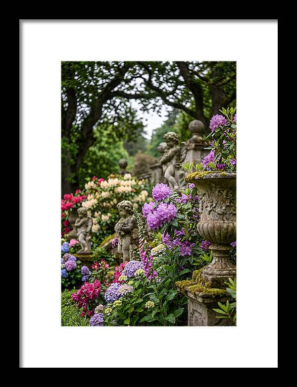 Powerscourt Gardens Serenity