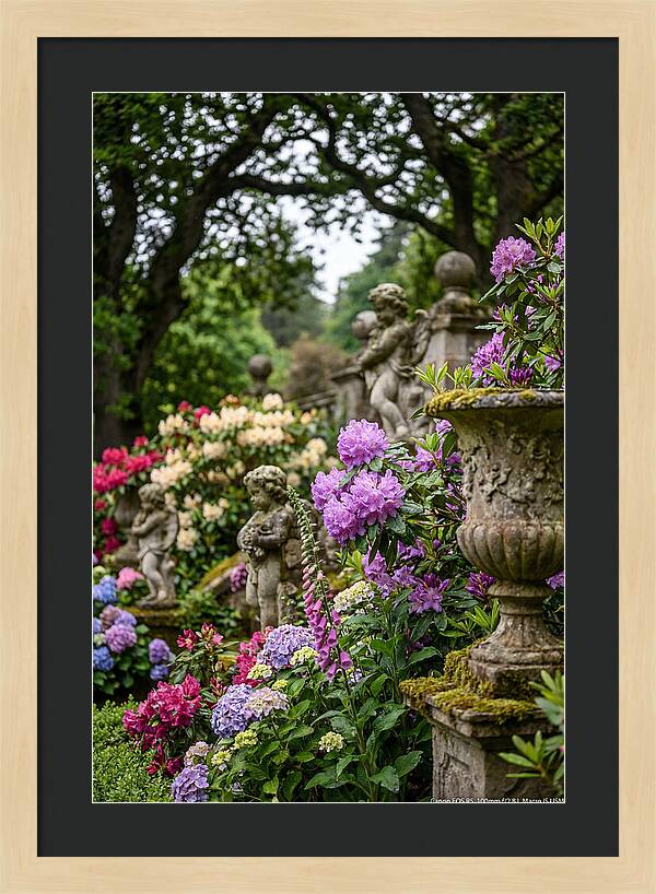 Powerscourt Gardens Serenity