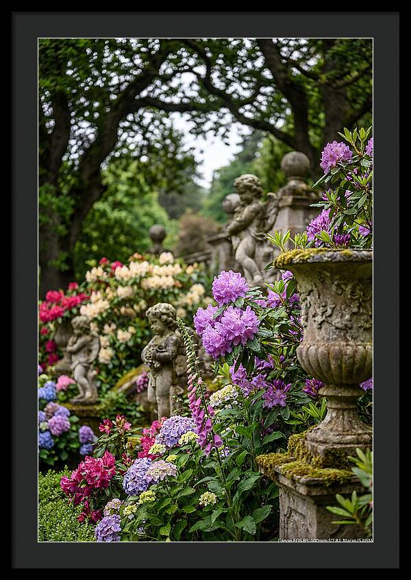 Powerscourt Gardens Serenity