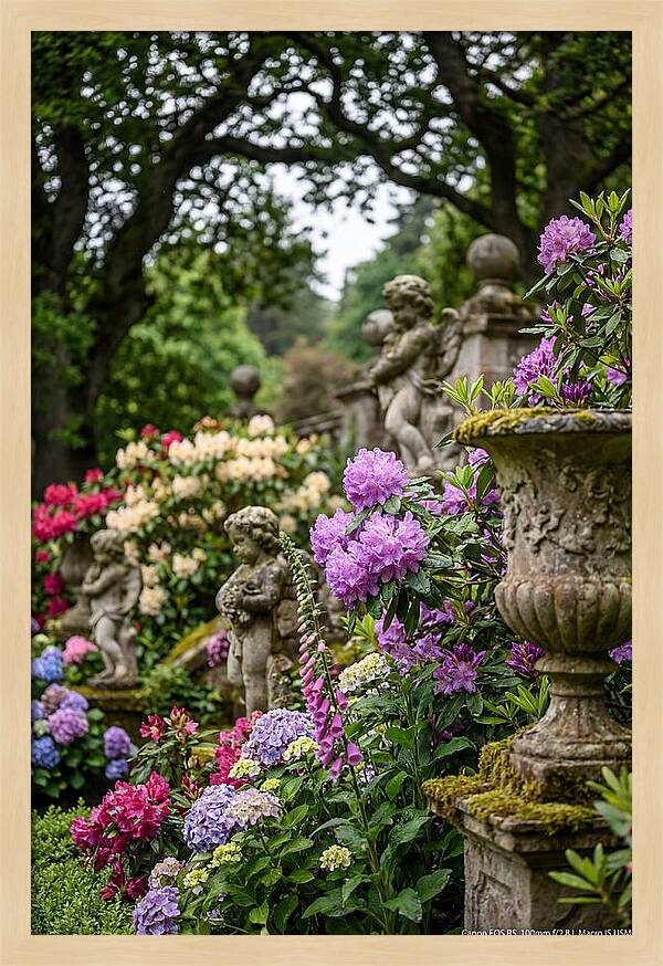 Powerscourt Gardens Serenity