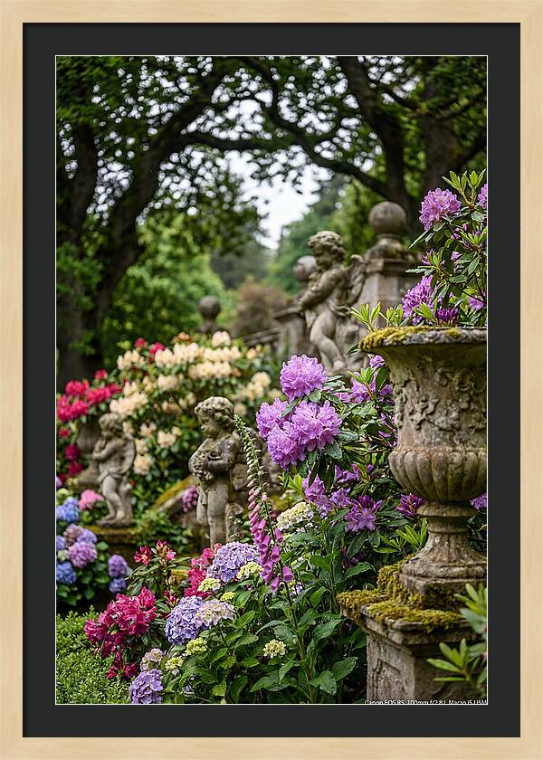 Powerscourt Gardens Serenity