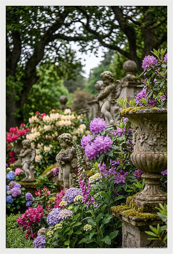Powerscourt Gardens Serenity