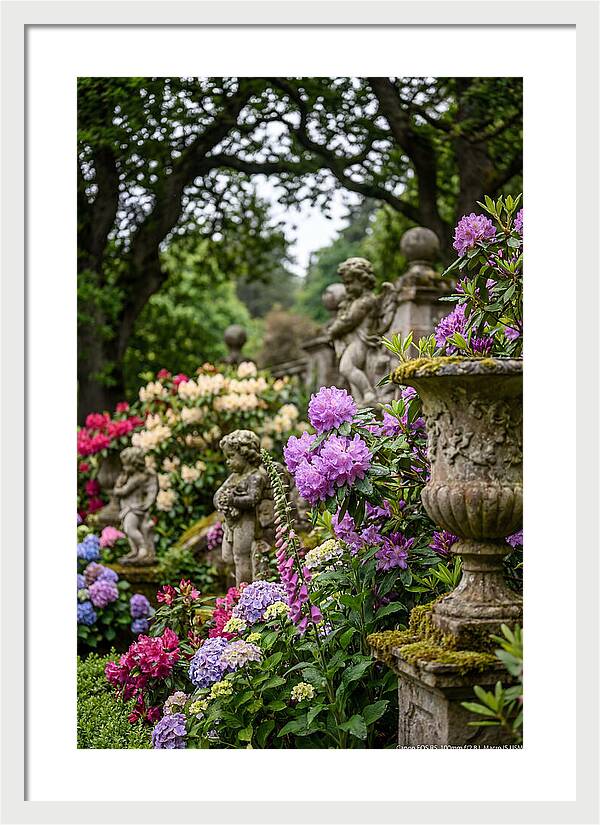 Powerscourt Gardens Serenity