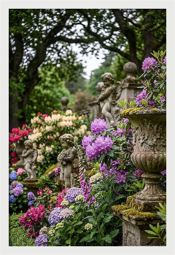 Powerscourt Gardens Serenity